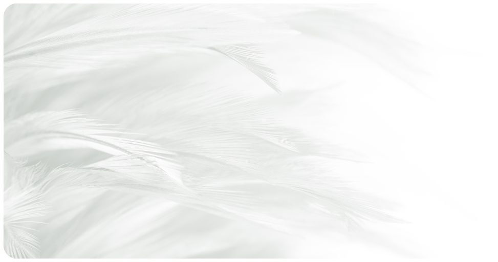 eliquide sans parfum 